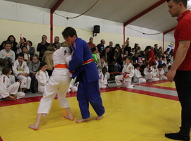 IMG_1982.JPG
