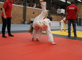 IMG_3525.JPG
