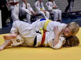 DSC_3982.webp
