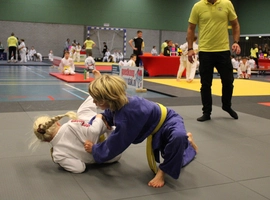 IMG_0278.webp