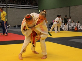 IMG_0292.webp