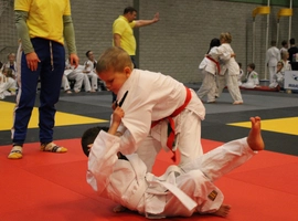 IMG_0295.webp