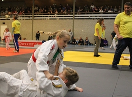 IMG_0306.webp