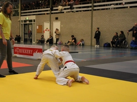 IMG_0307.webp
