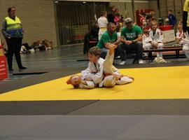 IMG_0309.webp