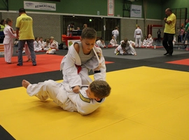 IMG_0315.webp