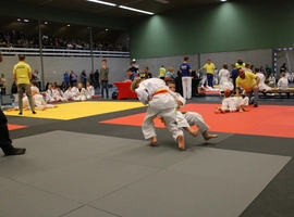 IMG_0319.webp