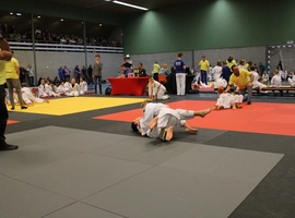 IMG_0320.webp