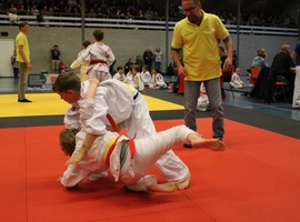 IMG_0321.webp