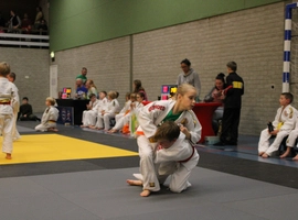IMG_0328.webp