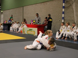 IMG_0329.webp