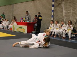 IMG_0330.webp