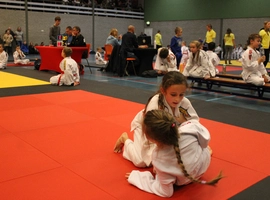IMG_0332.webp