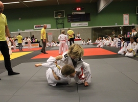 IMG_0347.webp