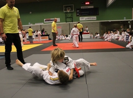 IMG_0348.webp