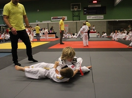 IMG_0349.webp