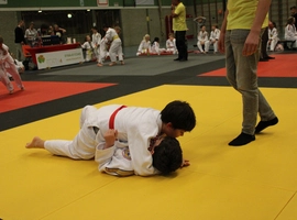 IMG_0357.webp