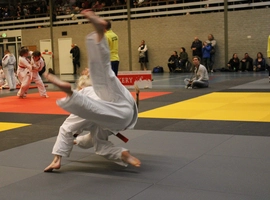 IMG_0372.webp
