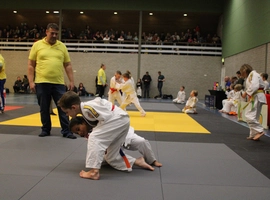 IMG_0374.webp