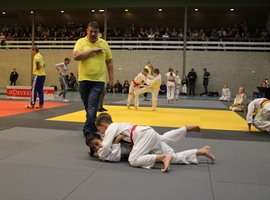 IMG_0375.webp