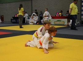 IMG_0378.webp