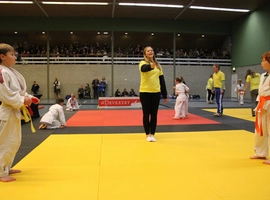 IMG_0379.webp