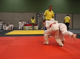 IMG_0390.webp