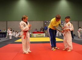 IMG_0391.webp