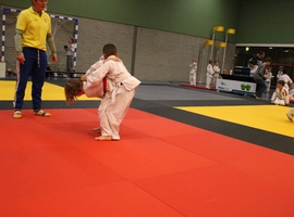 IMG_0408.webp