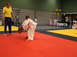 IMG_0409.webp