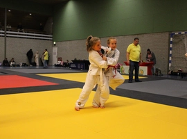 IMG_0413.webp