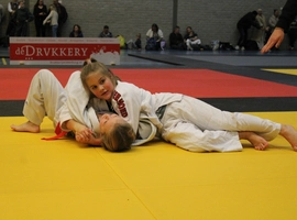 IMG_0416.webp