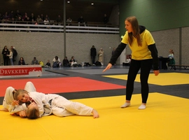 IMG_0417.webp