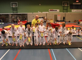 IMG_0419.webp