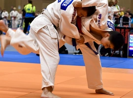 DSC_4246.webp