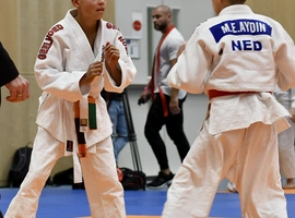 DSC_4291.webp