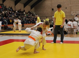 IMG_1283.webp