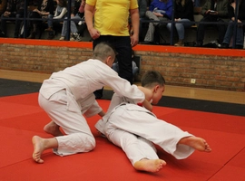 IMG_1292.webp