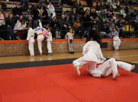 IMG_1331.webp