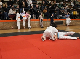 IMG_1332.webp