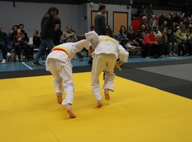IMG_1450.webp