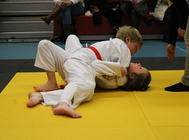 IMG_1471.webp