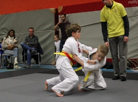 IMG_1481.webp
