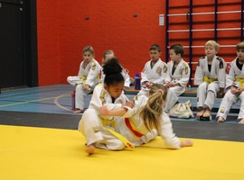 IMG_1483.webp