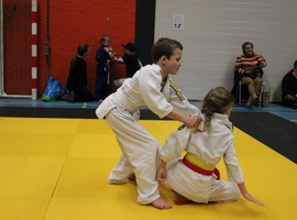 IMG_1484.webp
