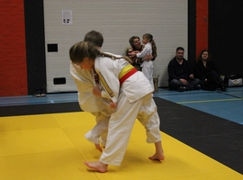IMG_1485.webp