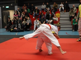 IMG_1487.webp