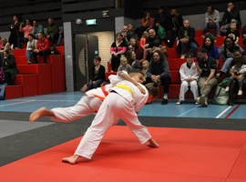 IMG_1490.webp