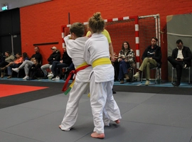 IMG_1493.webp