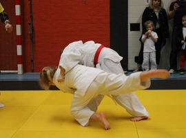 IMG_1508.webp